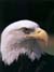 Eagle Head